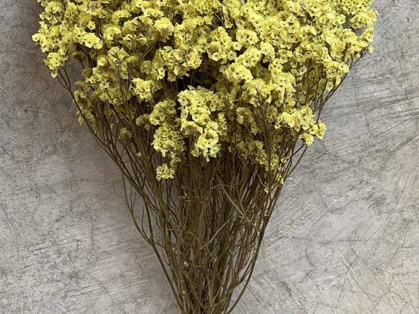 Confetti Yellow