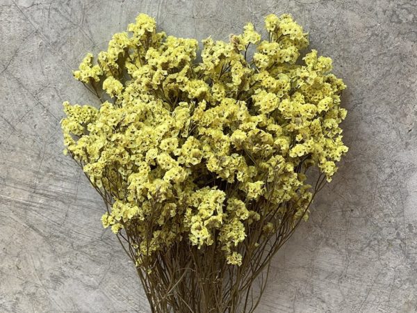 Confetti Yellow