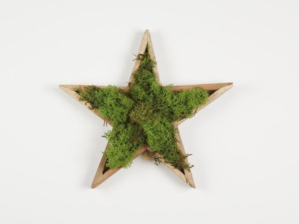Moss Star
