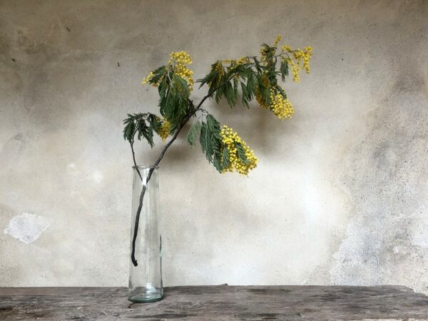 Willow Bottle