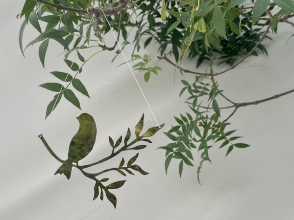 Bird in a Tree