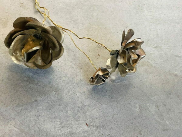 Golden Roses